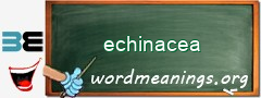 WordMeaning blackboard for echinacea